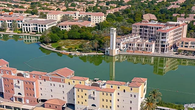 Дубай Инвестиционный Парк Руководство Зоны