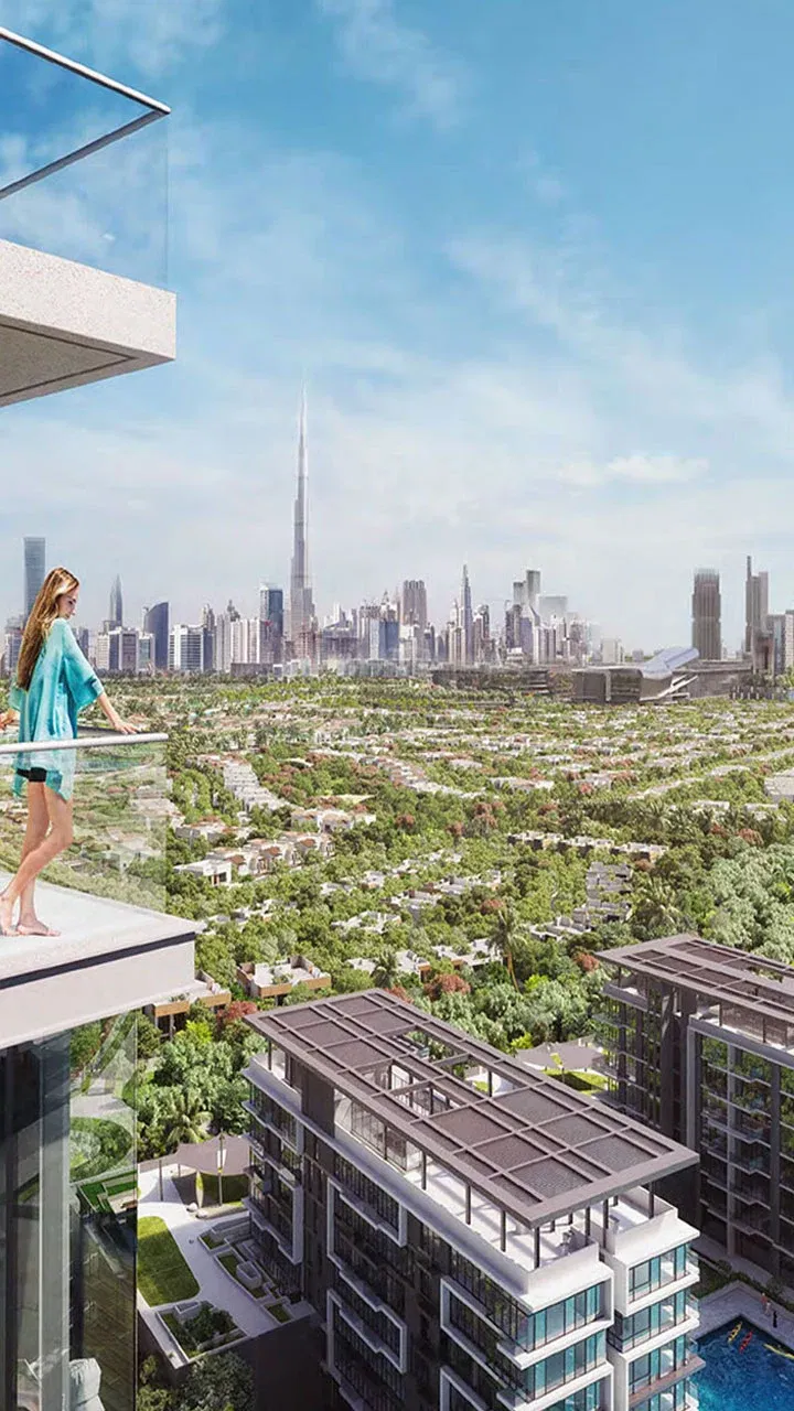 دليل منطقة مدينة mbr