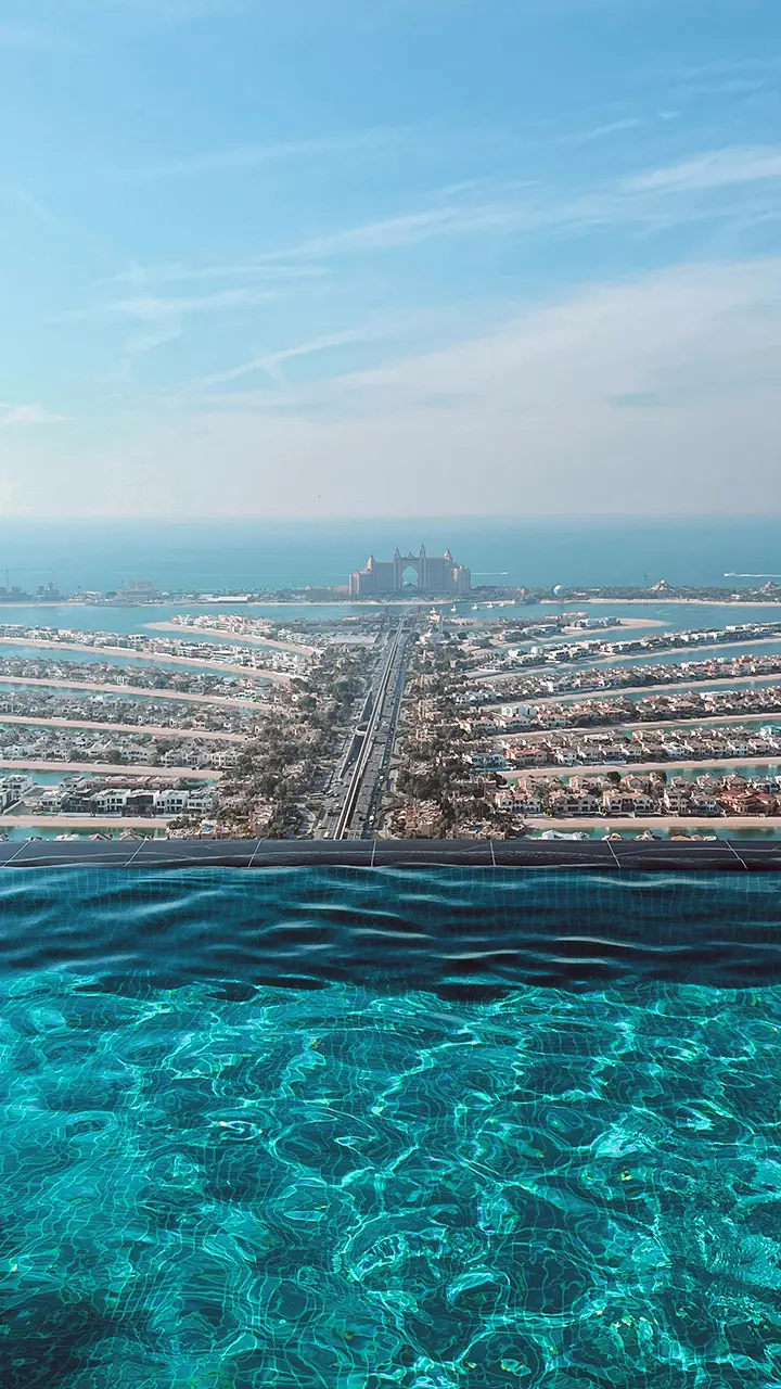 دليل منطقة نخلة جميرا