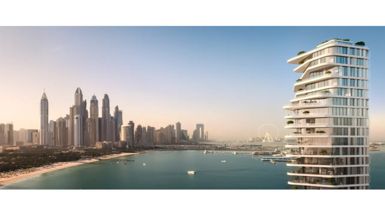 أفا