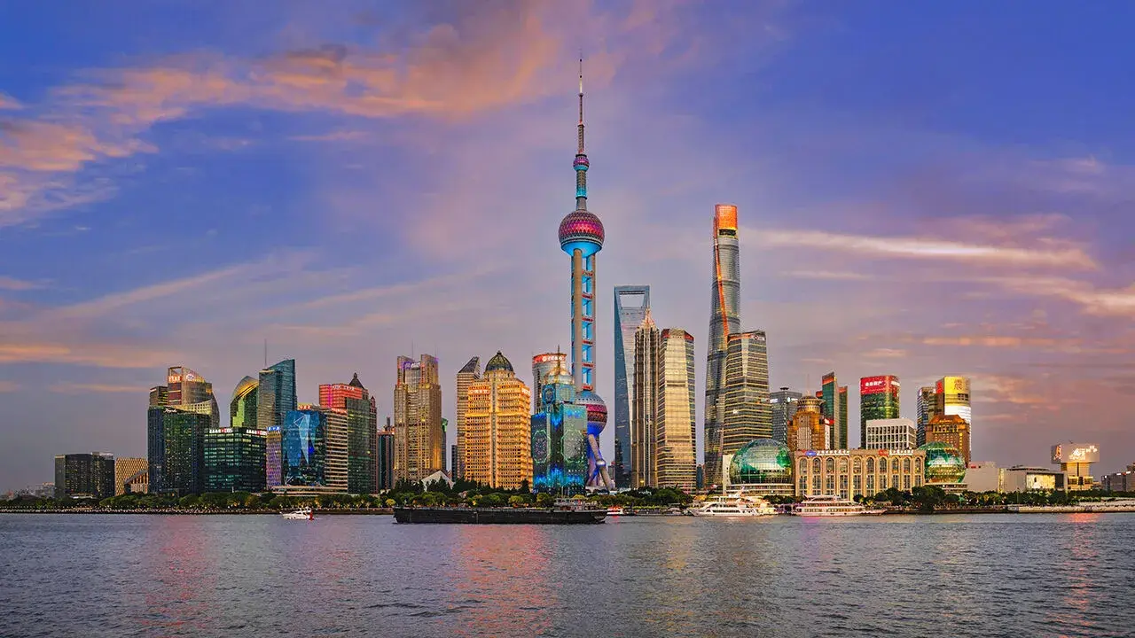 Chinese Overseas Investment