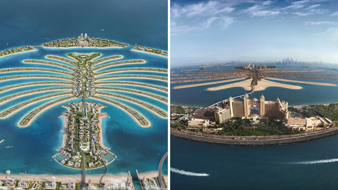 Palm Jumeirah Vs. Palm Jebel Ali
