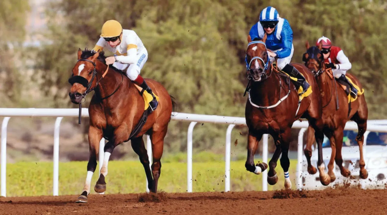 jebel ali racecourse