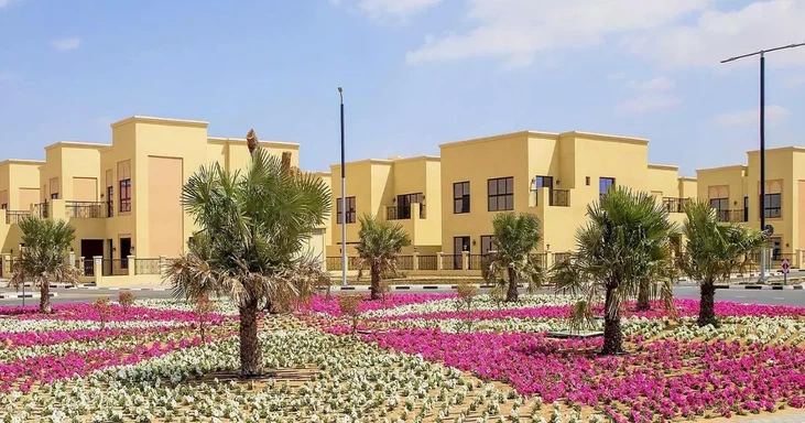 سلبيات العيش في ند الشبا