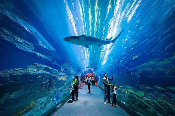 dubai aquarium dubai mall