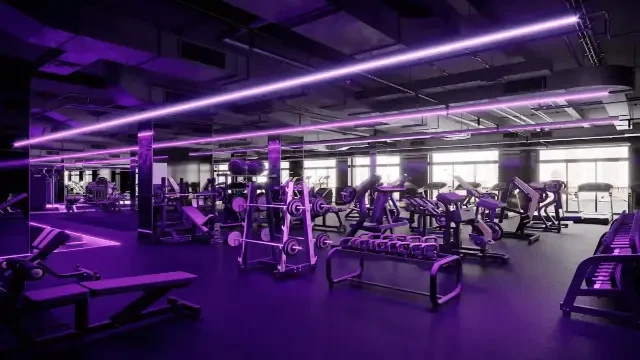 Top Gyms in Palm Jumeirah