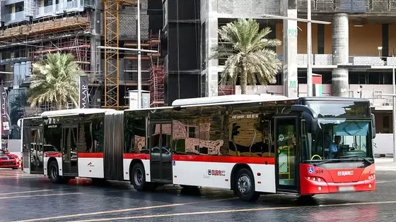 RTA Public Transport Rules