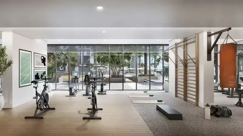 إلفيرا من إعمار