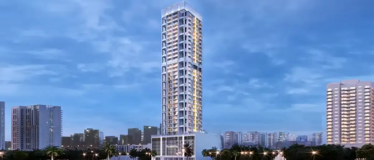 тюльпан Бингхатти