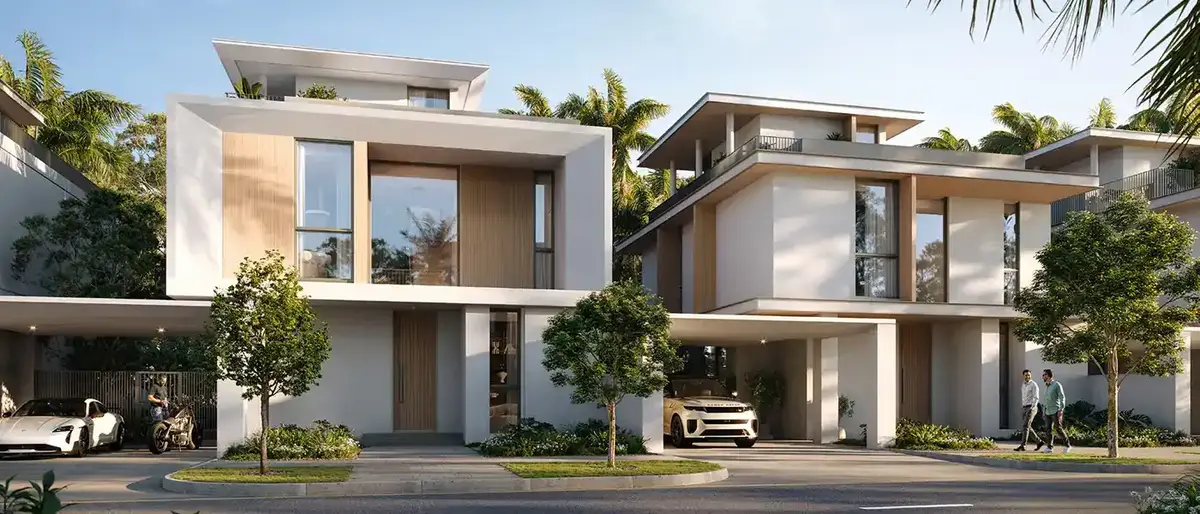 farm grove at the valley