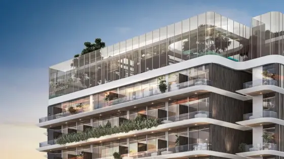 peace avenue by peace homes
