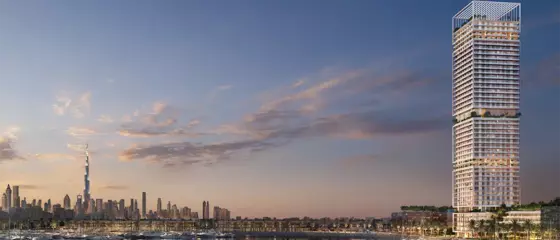 ساريا في مدينة دبي البحرية