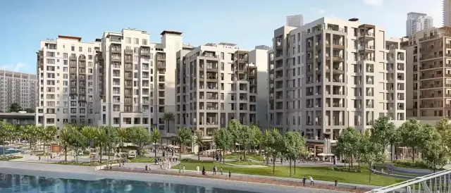 mangrove at creek beach