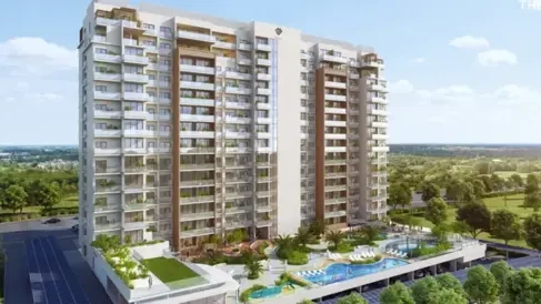 убежище 2 от meraki